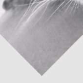 冷ややかなティッシュペーパー 薄葉紙 (詳細)