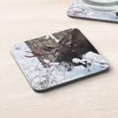 冷ややかなムース コースター (左側)