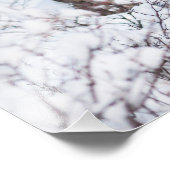 冷ややかなムース フォトプリント            (角)