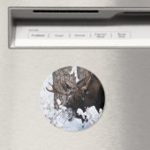 冷ややかなムース マグネット (インサイチュ (食洗機))