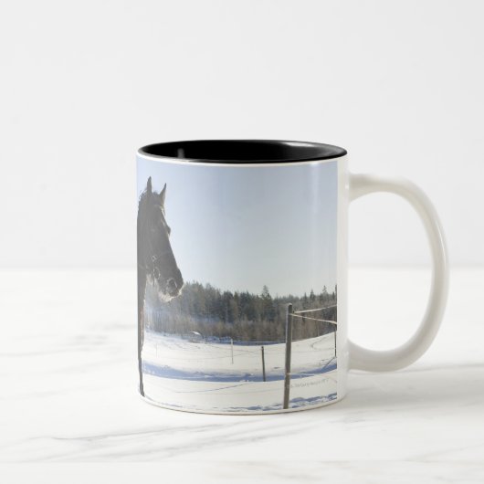 冷ややかな景色の馬の訓練、 ツートーンマグカップ (右)