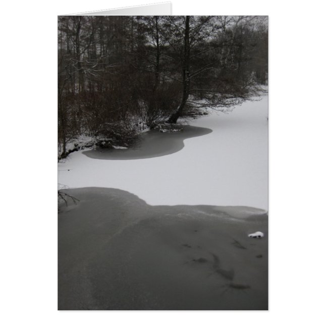 冷ややかな湖 (正面)