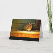 冷ややかな鳩 カード (裏面)