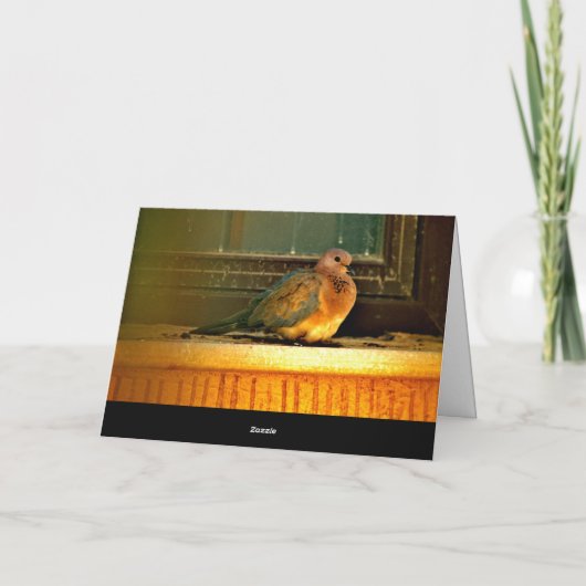 冷ややかな鳩 カード (裏面)