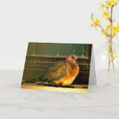 冷ややかな鳩 カード (黄色い花)