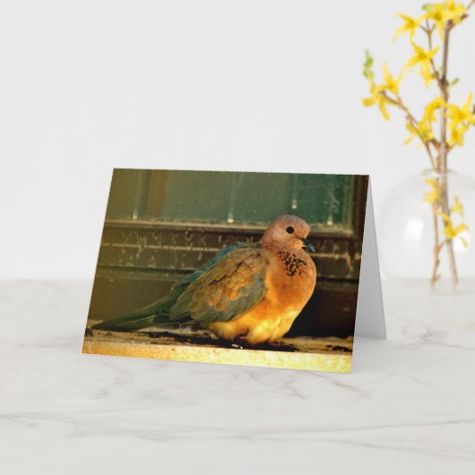 冷ややかな鳩 カード (黄色い花)