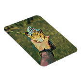 冷カッコいい凍アイスクリーム マグネット (右側)