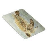 冷凍機マグネットウミガメ#1 マグネット (右側)