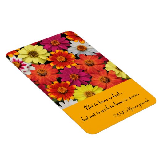 冷凍機マグネットジニカラフルアステンプレート マグネット (右側)