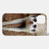 冷却するMeerkat (Suricata Suricatta) Case-Mate iPhoneケース (裏面 (横))