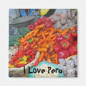 冷却と詳細 マグネット (正面)