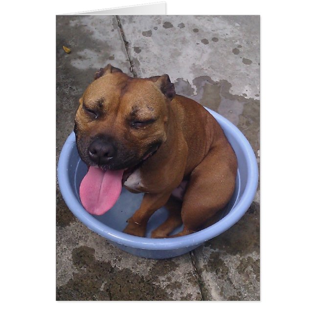 冷却熱い日で! (正面)