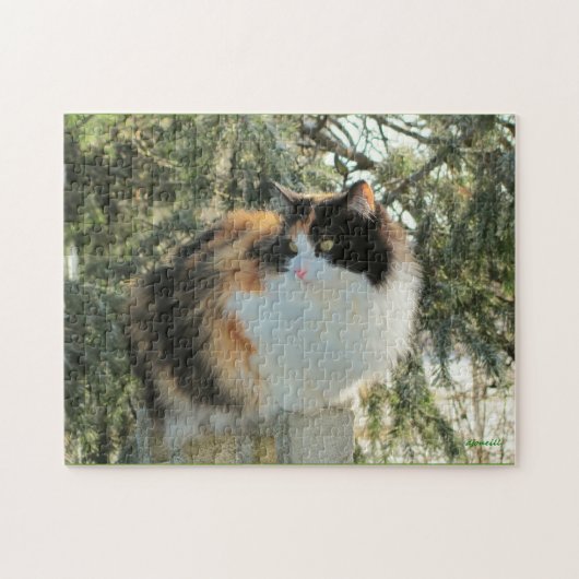 冷徹な目で探る ジグソーパズル (横)