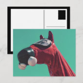 冷戦馬 ポストカード (正面/裏面)