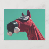 冷戦馬 ポストカード (正面)