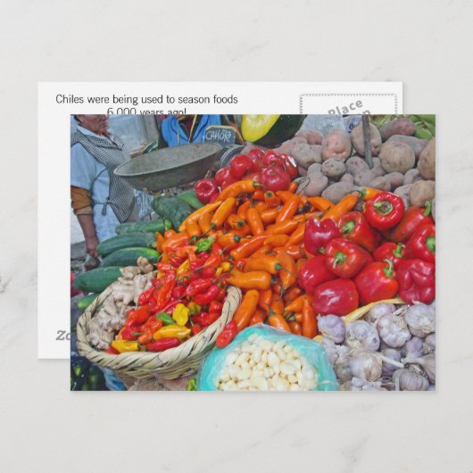 冷気とその他 ポストカード (正面/裏面)