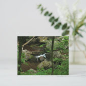 冷水 ポストカード (スタンド正面)