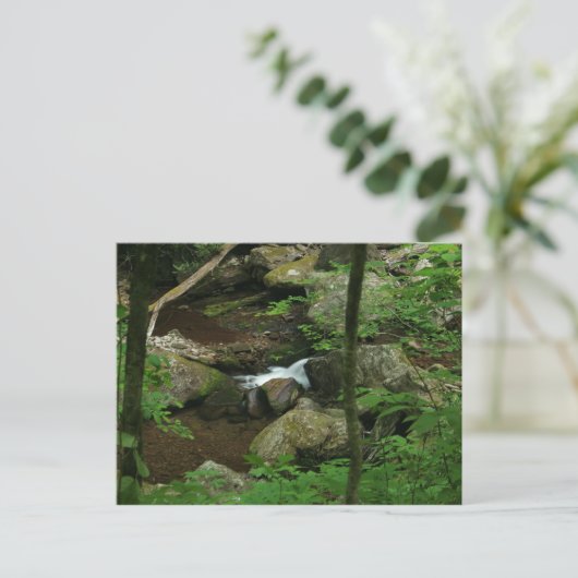 冷水 ポストカード (スタンド正面)