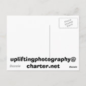 冷水 ポストカード (裏面)