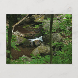 冷水 ポストカード