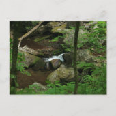 冷水 ポストカード (正面)