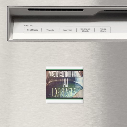 冷蔵やる気を起こさせる器磁石 マグネット (インサイチュ (食洗機))