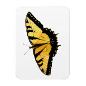 冷蔵タイガーアゲハチョウ蝶 マグネット (縦)
