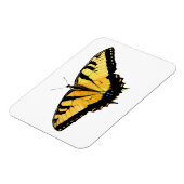 冷蔵タイガーアゲハチョウ蝶 マグネット (左側)