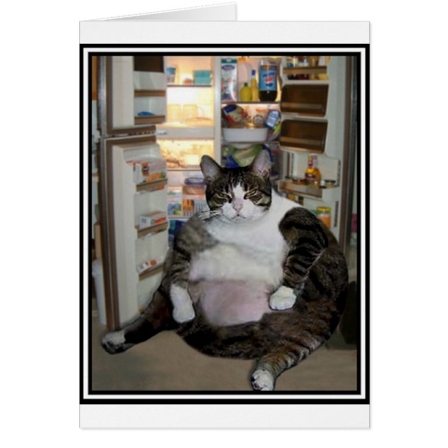 冷蔵庫のCAT (正面)