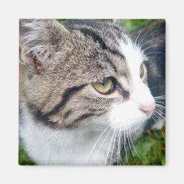 冷蔵庫カスタム用光磁石 |画像はこちら マグネット