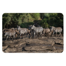 冷蔵庫マグネットあなたの写真テンプレート4 x 6 マグネット