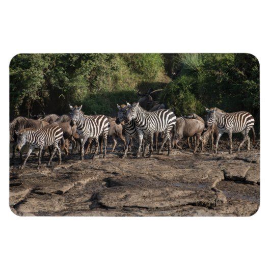 冷蔵庫マグネットあなたの写真テンプレート4 x 6 マグネット (横)