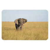 冷蔵庫マグネットあなたの写真テンプレート4 x 6 マグネット (横)