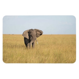 冷蔵庫マグネットあなたの写真テンプレート4 x 6 マグネット