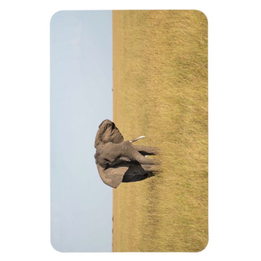 冷蔵庫マグネットあなたの写真テンプレート4 x 6 マグネット (縦)