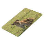 冷蔵庫マグネットあなたの写真テンプレート4 x 6 マグネット (左側)