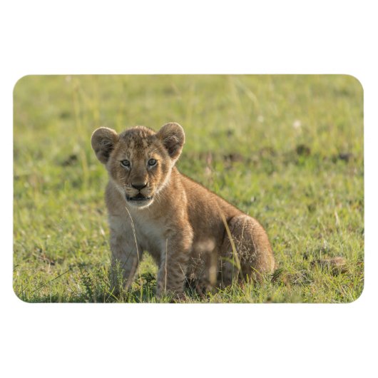 冷蔵庫マグネットあなたの写真テンプレート4 x 6 マグネット (横)