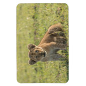 冷蔵庫マグネットあなたの写真テンプレート4 x 6 マグネット (縦)