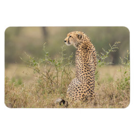 冷蔵庫マグネットあなたの写真テンプレート4 x 6 マグネット