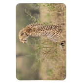 冷蔵庫マグネットあなたの写真テンプレート4 x 6 マグネット (縦)