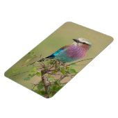 冷蔵庫マグネットあなたの写真テンプレート4 x 6 マグネット (左側)