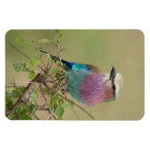 冷蔵庫マグネットあなたの写真テンプレート4 x 6 マグネット (横)