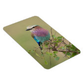 冷蔵庫マグネットあなたの写真テンプレート4 x 6 マグネット (右側)