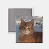 冷蔵庫子猫 マグネット (正面/裏面)