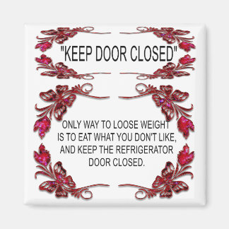 冷蔵庫扉 マグネット