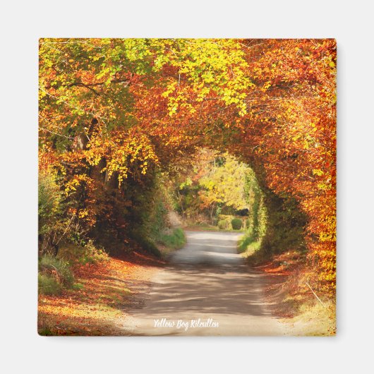 冷蔵庫用マグネットイエローボグキルクルレン マグネット (正面)