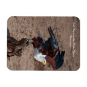 冷蔵庫用マグネットワシ飛行 マグネット (横)