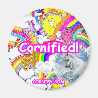 冷蔵庫用マグネット! マグネット