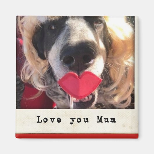 冷蔵庫用マグネット マグネット (正面)