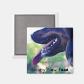 冷蔵庫用空腹磁石 マグネット (正面/裏面)